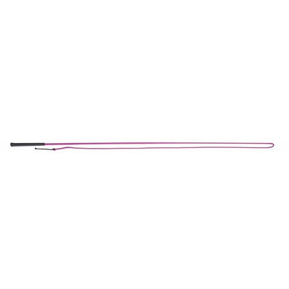 Lunging Whip 63 Black