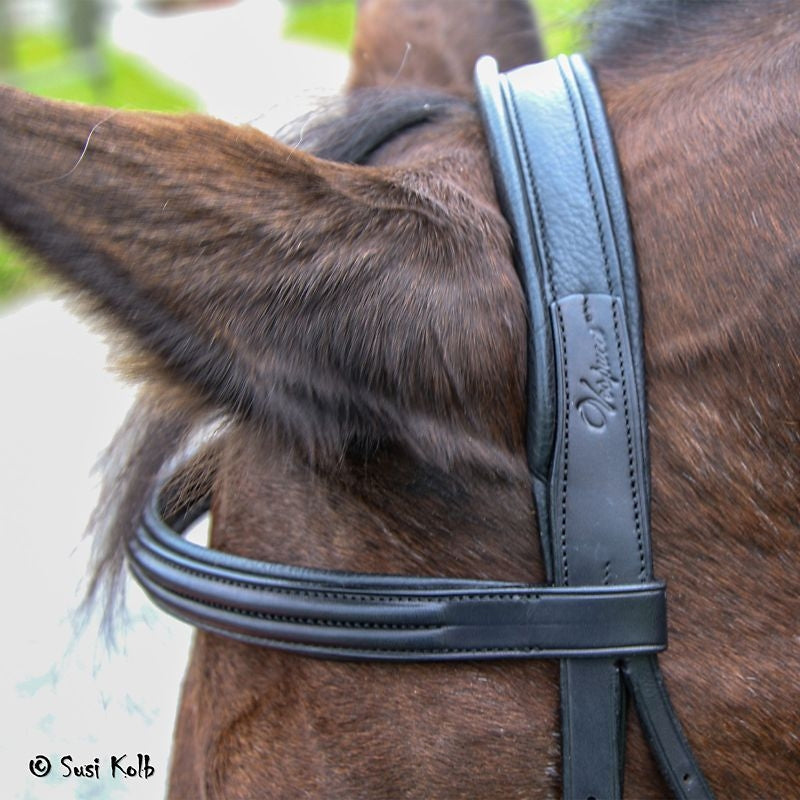 Vespucci Plain Raised Dressage Bridle