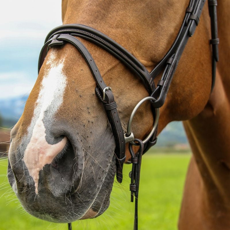 Vespucci Plain Raised Jump Bridle