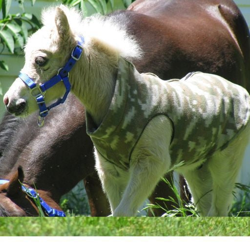 Ozark Mini Polarfleece Print Foal Jacket