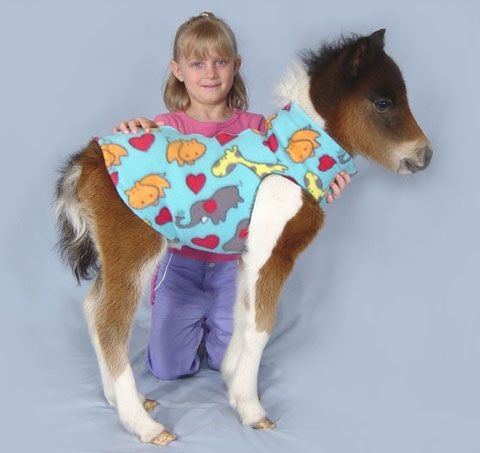 Ozark Mini Polarfleece Print Foal Jacket