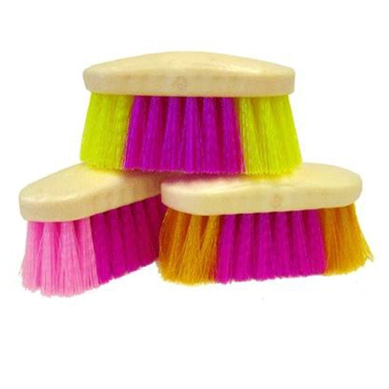 Rainbow Brushes Case of 12