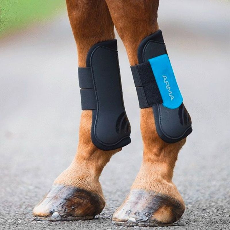 Shires Open Front Tendon Boots
