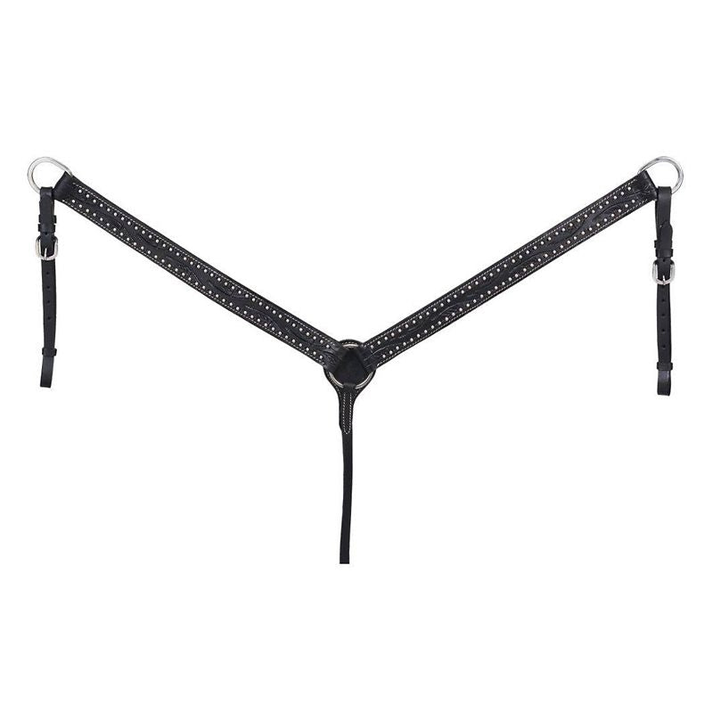 King Series Braden with Silver Breast Collar