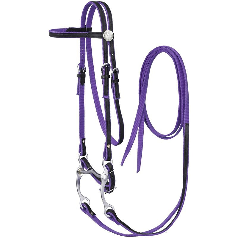 King Series Nylon Browband Bridle Leather