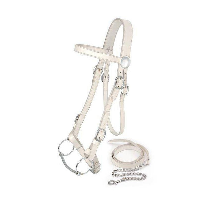 King Series Draft Horse Show Halter w.Lead