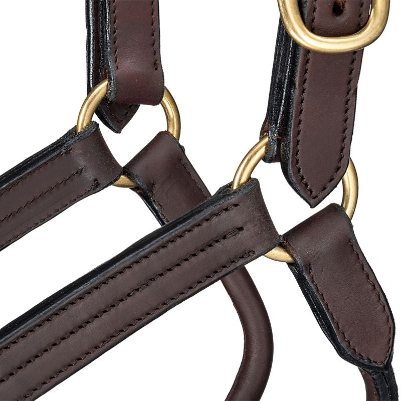 Royal King Premium Leather Halter Snap