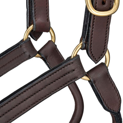 Royal King Premium Leather Halter Snap