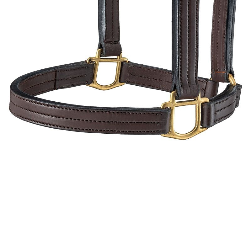 Royal King Premium Leather Halter Snap