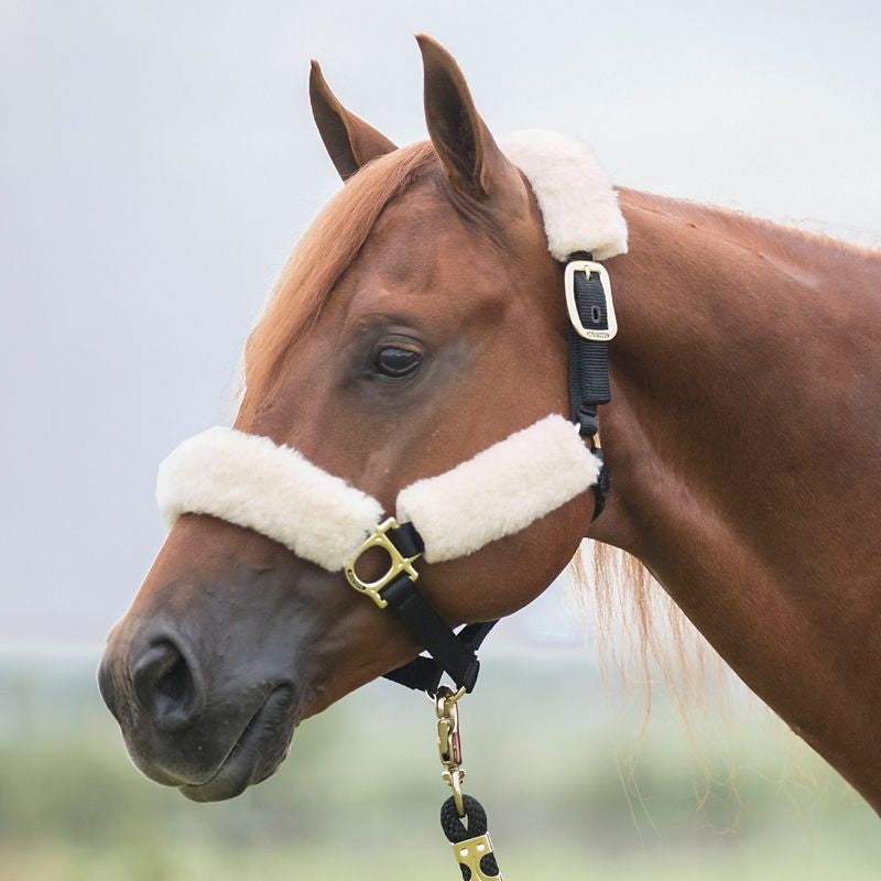 Mustang Comfort Fleece Halter Cover Set