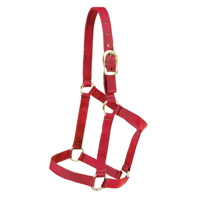 Mustang Regular Economy Halter