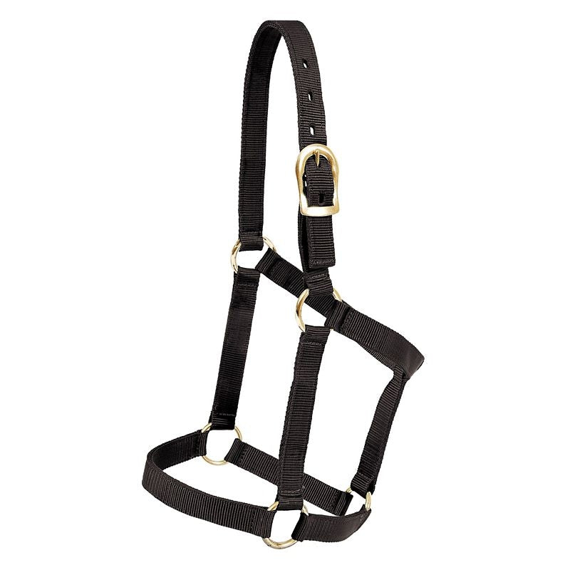 Mustang Yearling Economy Halter