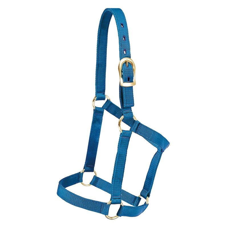 Mustang Foal Economy Halter