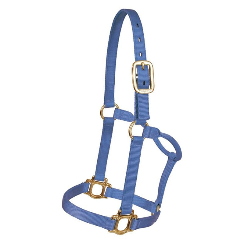 Mustang Regular Traditional Nylon Halter