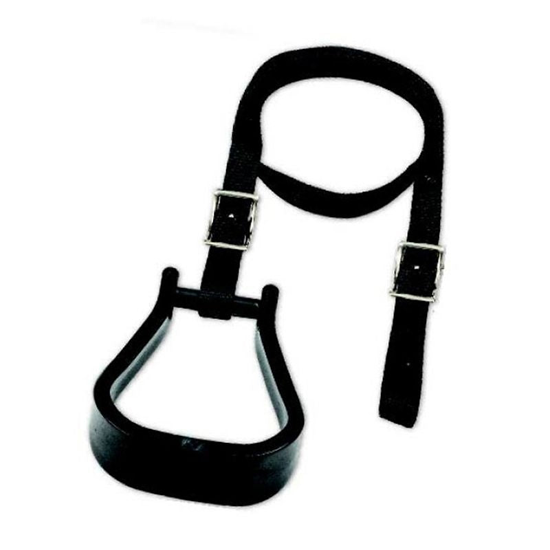 Mustang Mounting Stirrup