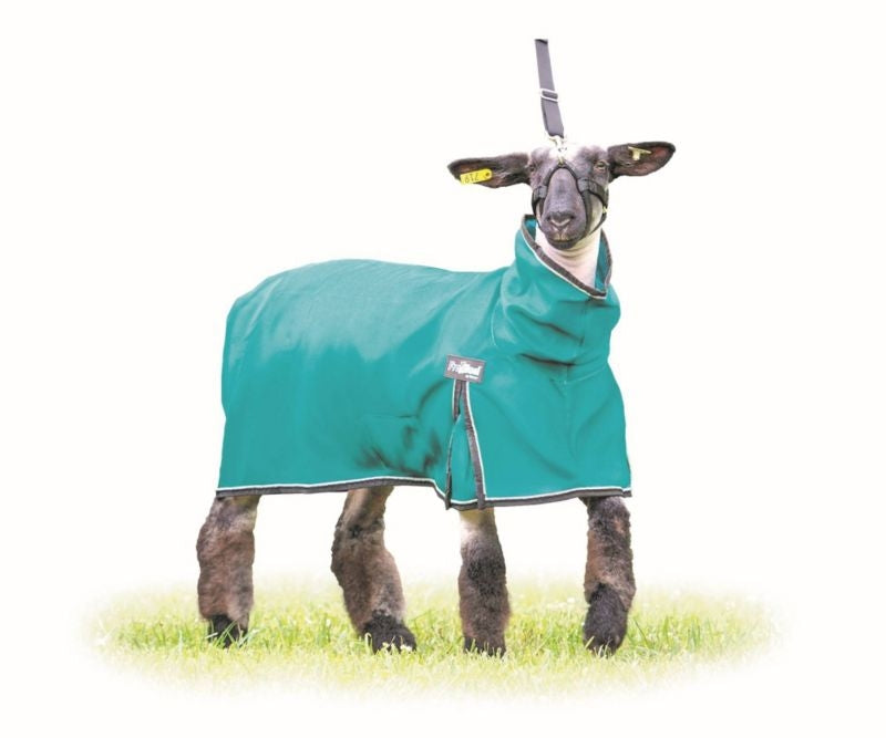 ProCool Mesh Sheep Blanket