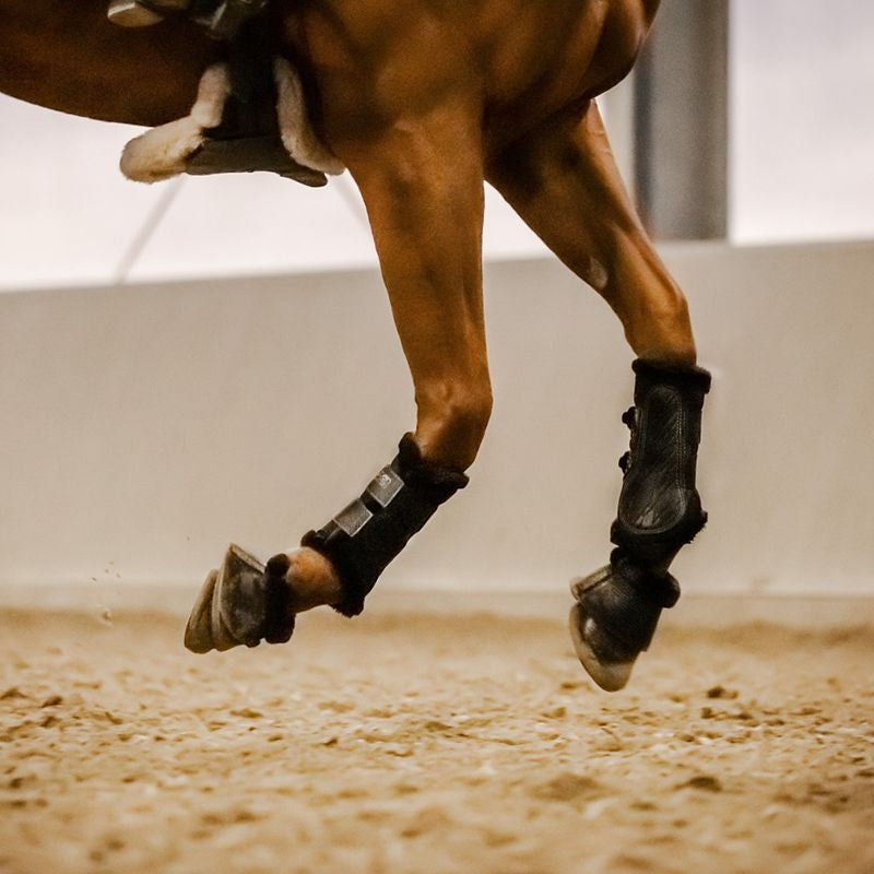 Stubben Airflow Brushing Boots with Fleece