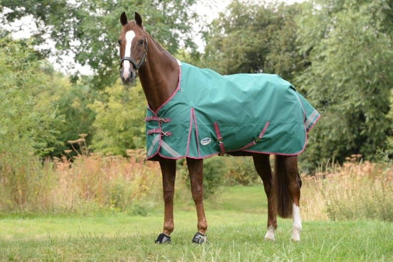 Weatherbeeta ComFiTec Plus Dynamic II Standard Neck Lite Turnout