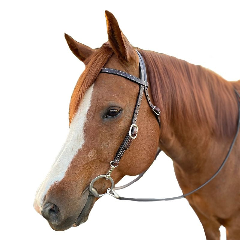 Tory Dark Harness Brow Band Headstall with Snaps
