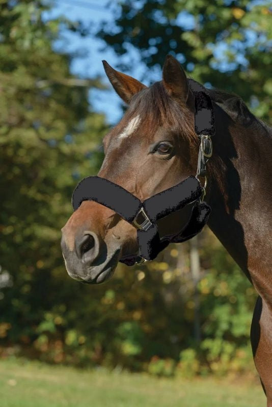 Shires ARMA SupaFleece Halter Set