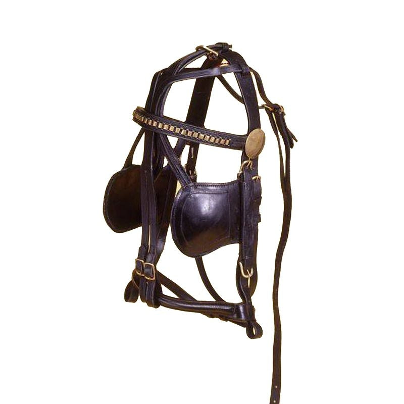Royal King Leather Replacement Bridle