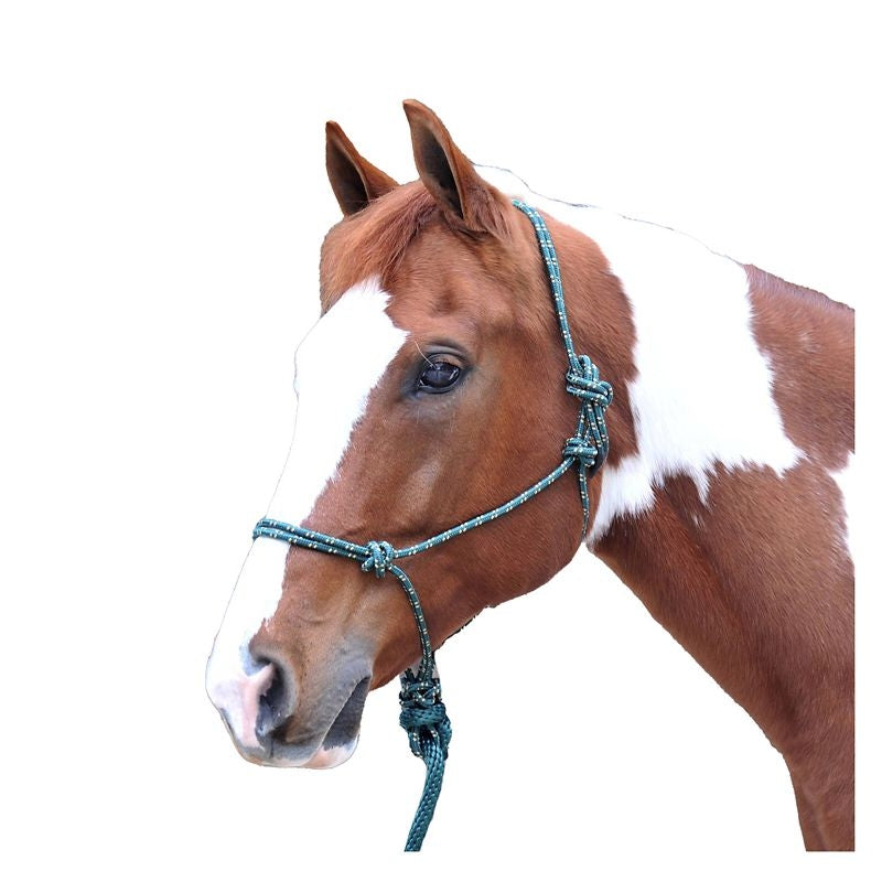 Horse Mountain Rope Halter
