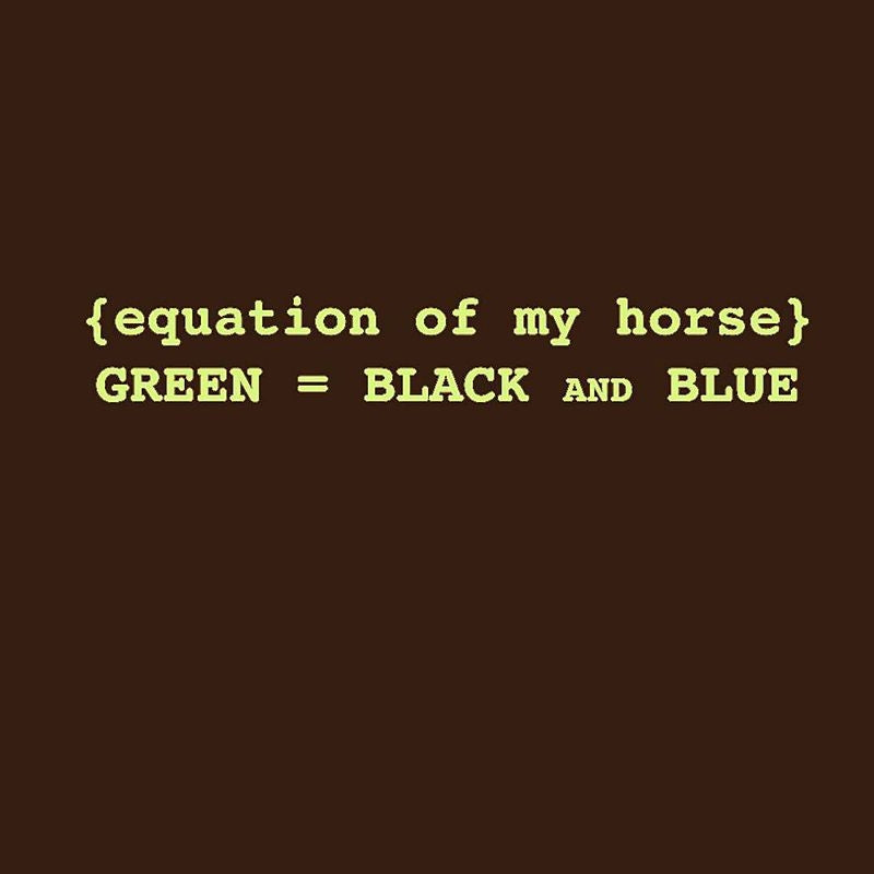 Sound Equine Ladies Equation Of My Horse Tee Shirt