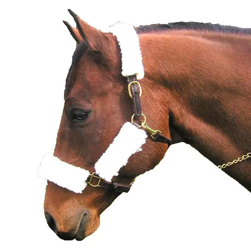 Basic Fleece 4-Piece Halter Tube Set