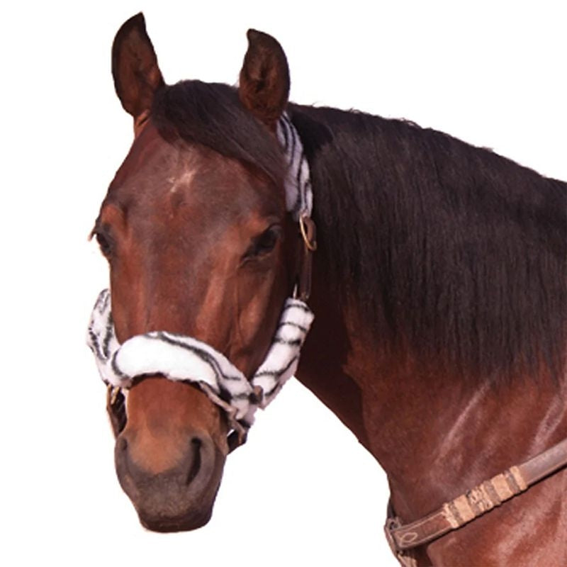 Basic Fleece 4-Piece Halter Tube Set