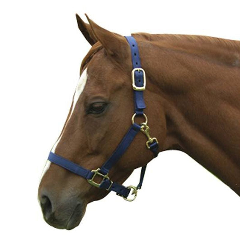 Interpid Nylon Adjustable Halter