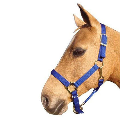 Interpid Nylon Adjustable Halter