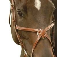 Exselle Elite Figure 8 Plain Raised Noseband