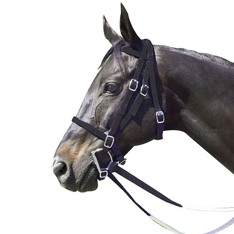 Intrepid Nylon Racing Bridle