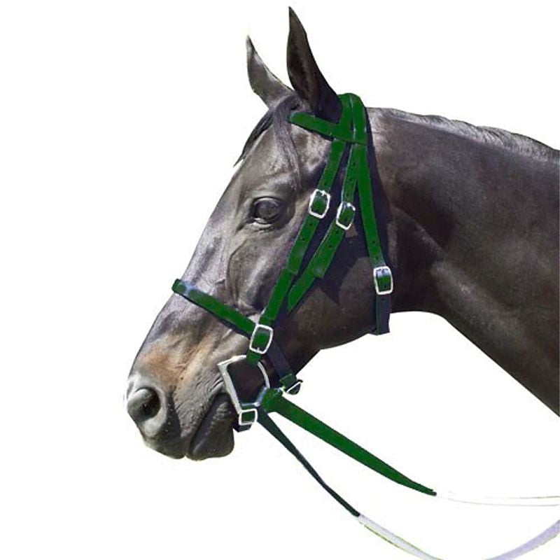 Intrepid Nylon Racing Bridle