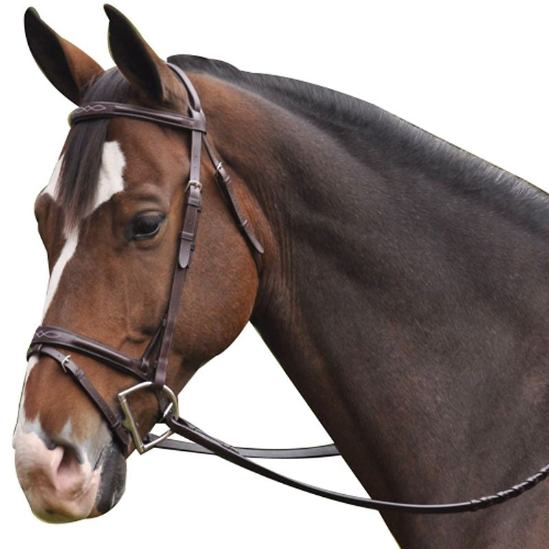 Exselle Elite Plain and Fancy Bridle