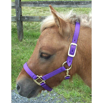 Miniature Horse Nylon Halter