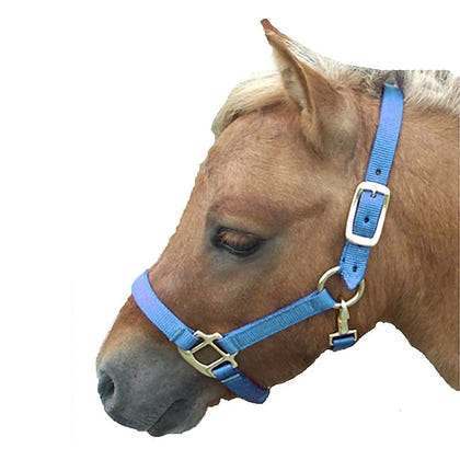 Miniature Horse Nylon Halter