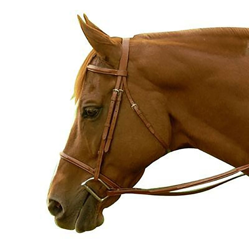 Exselle Fancy Square Raised Bridle