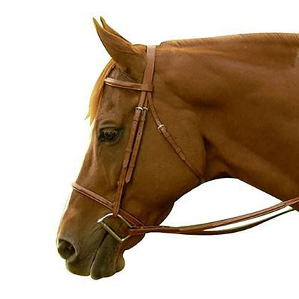 Exselle Fancy Square Raised Bridle