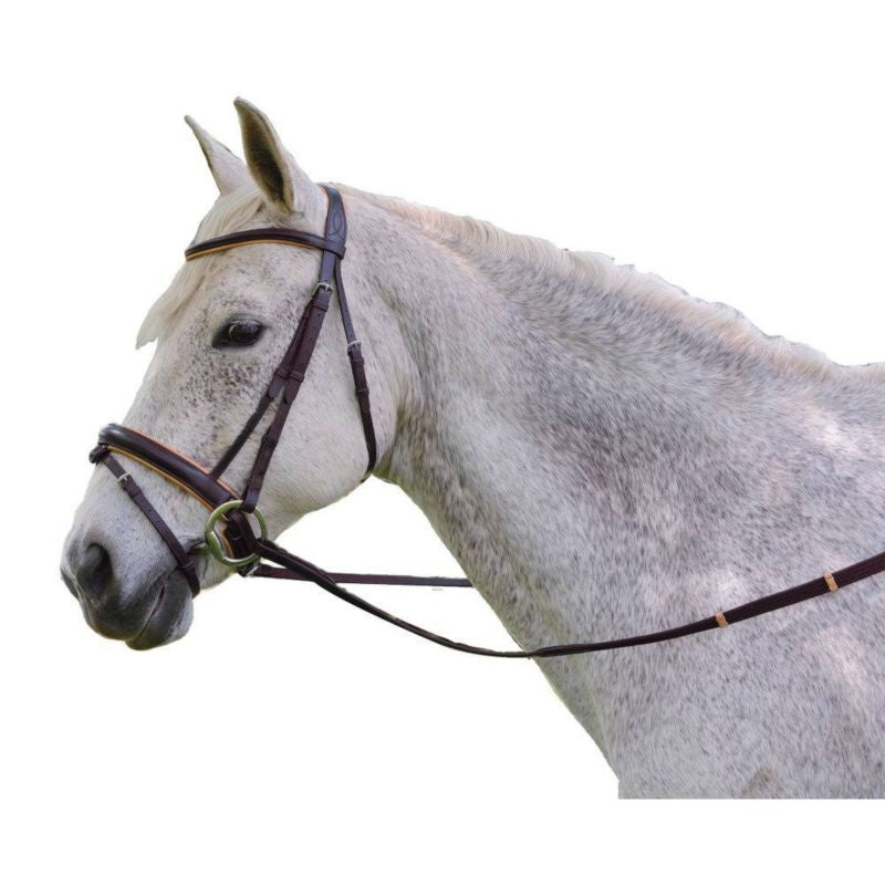 Exselle Raised Padded Bridle