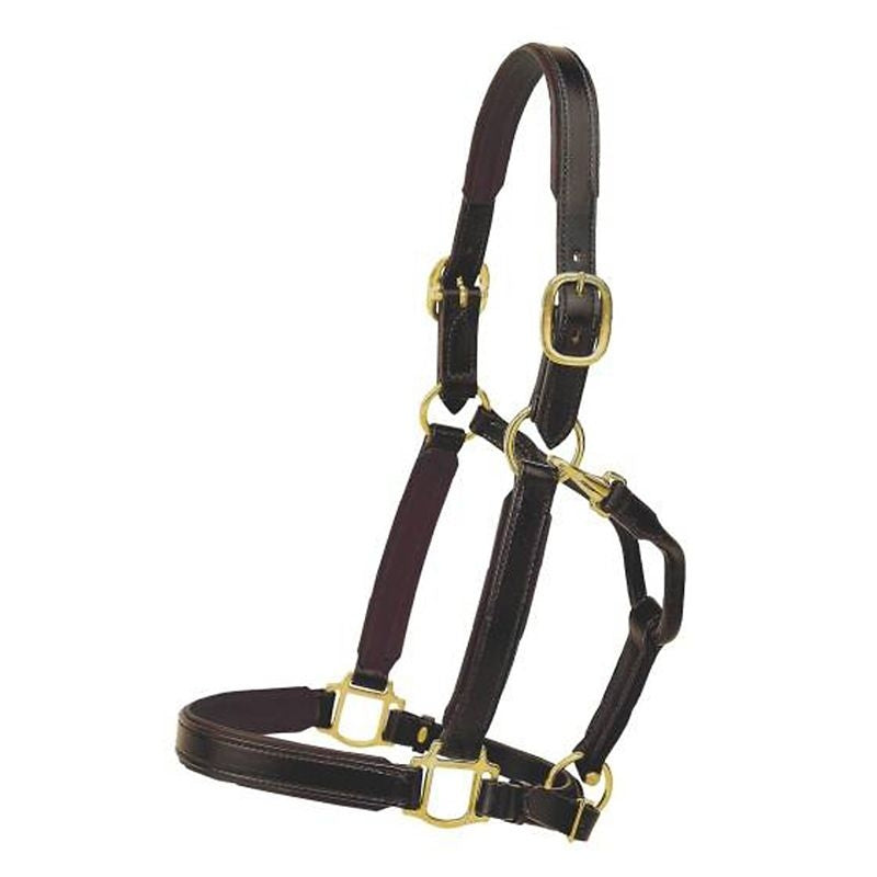 Tory 1In Padded Halter With Brass Hardware Cob Blk