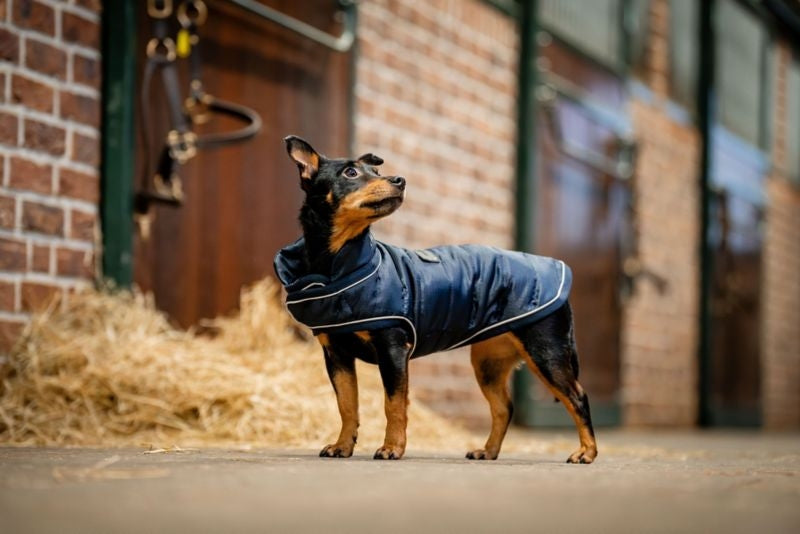 Horseware Signature Dog Blanket