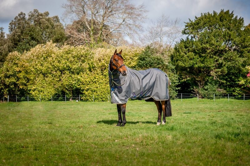 Amigo Bravo 12 Plus Sheet Pony