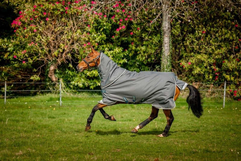 Amigo Bravo 12 Plus TO 250g Pony