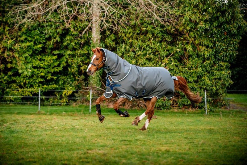 Amigo Bravo 12 Plus 400g Pony