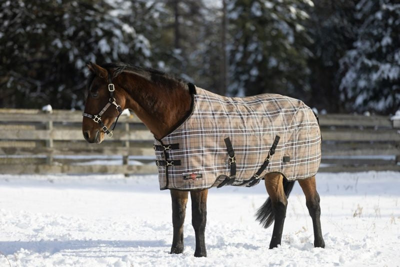 Kensington SuperMesh Turnout 300G