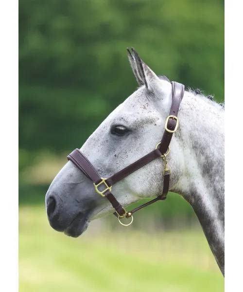 Shires Travel Headcollar