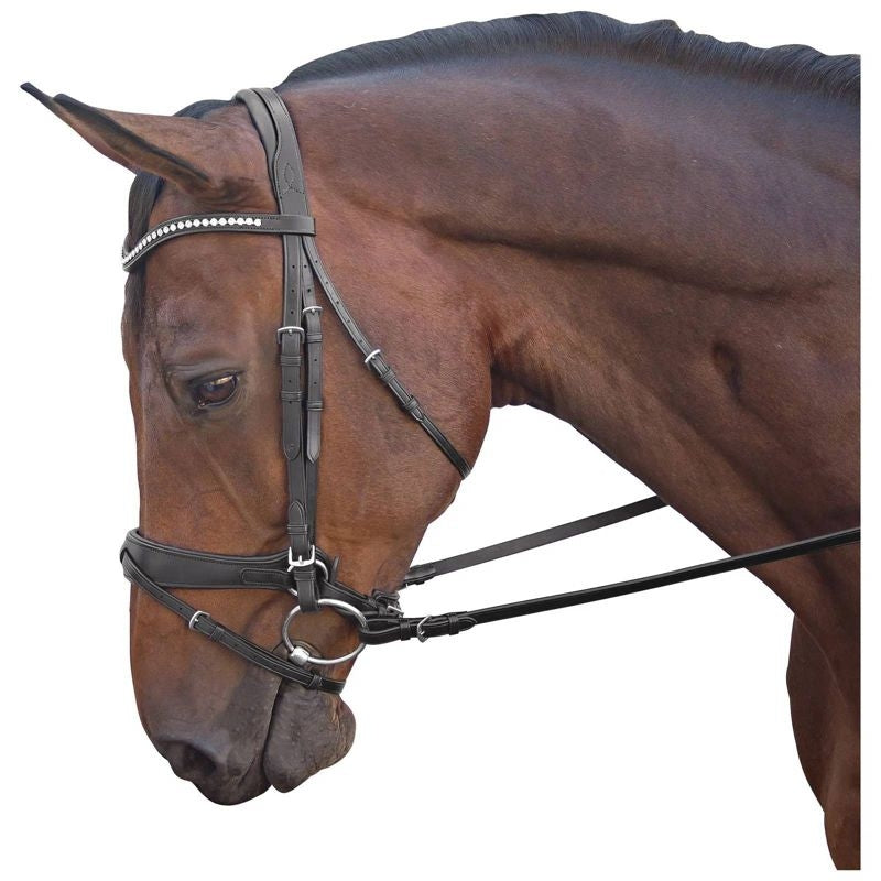 M. Toulouse Cavesson Dressage Bridle