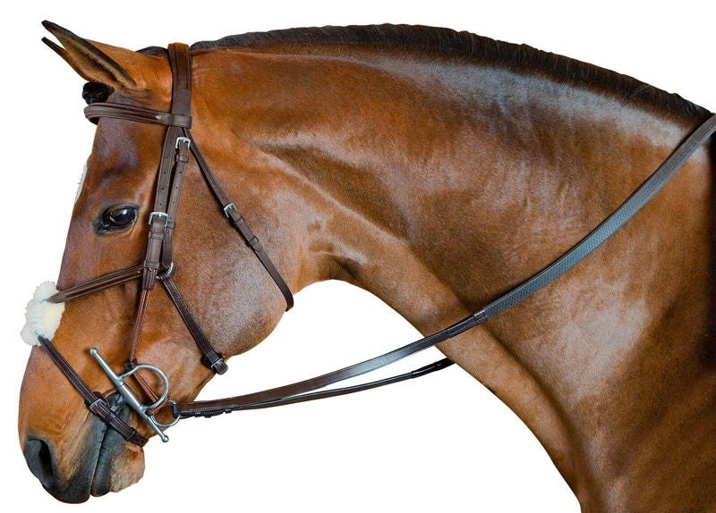M. Toulouse Bridle with Gag Cheeks