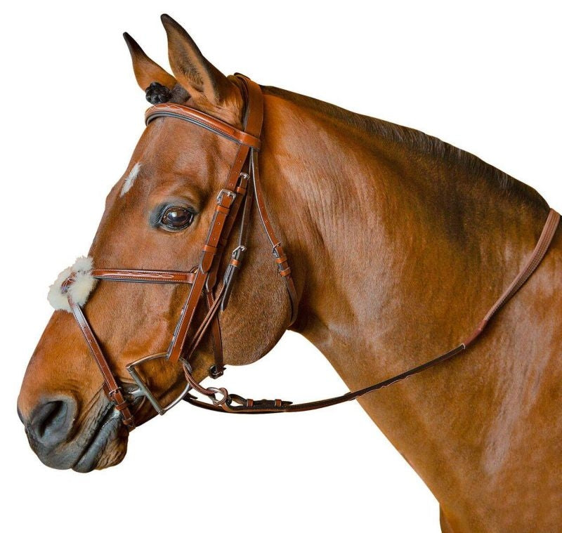 M. Toulouse Jumper Training Bridle